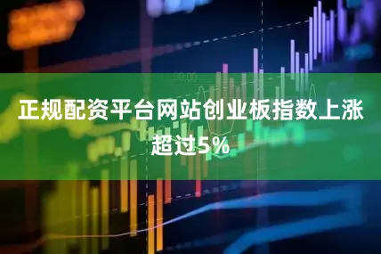 正规配资平台网站创业板指数上涨超过5%